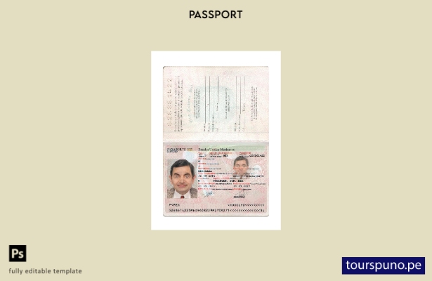 Listo para imprimir la plantilla actual del pasaporte de México